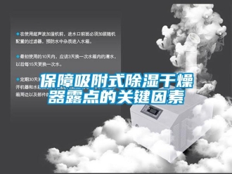 常見問題保障吸附式除濕干燥器露點的關鍵因素