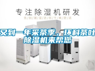 知識百科又到一年采茶季，環科茶葉除濕機來幫您
