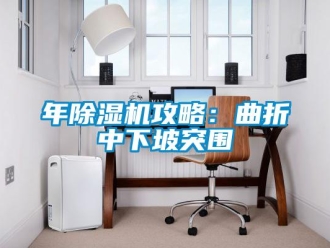 行業新聞年除濕機攻略：曲折中下坡突圍