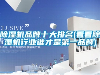 企業新聞除濕機品牌十大排名(看看除濕機行業誰才是第一品牌)
