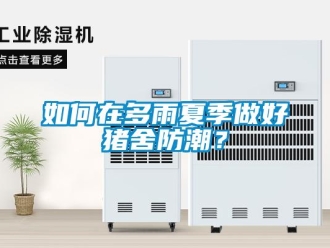 常見(jiàn)問(wèn)題如何在多雨夏季做好豬舍防潮？