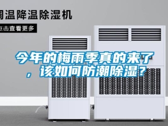 常見問題今年的梅雨季真的來了，該如何防潮除濕？