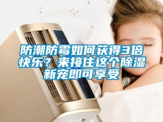 常見問題防潮防霉如何獲得3倍快樂？來接住這個(gè)除濕新寵即可享受